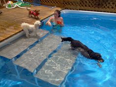 two dogs and a girl playing in the pool with their toy animals on floating rafts