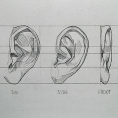 three different types of ears are shown in this drawing