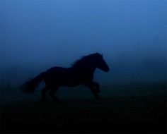 a black horse running in the foggy field at night with it's head turned to the left