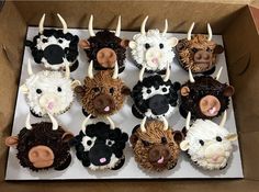 twelve cupcakes in the shape of cows with horns