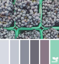 the color scheme is blue and green with some black grapes in it, as well as gray