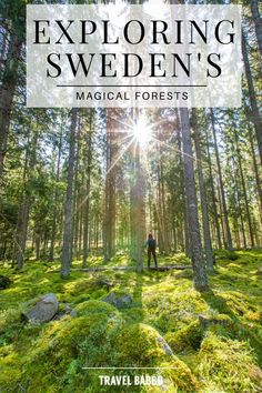 a person standing in the middle of a forest with text overlay reading exploring sweden's magic forests