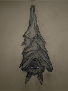 a drawing of a bat hanging upside down with blue eyes on it's face