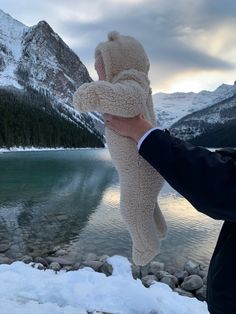 a person holding up a stuffed animal in front of a lake with snow on the ground