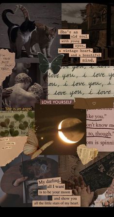 collage of images with words and pictures