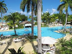 an outdoor swimming pool surrounded by palm trees