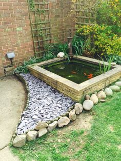 a fish pond in the middle of a garden