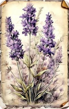 a painting of purple flowers on a white and brown background with grungy edges