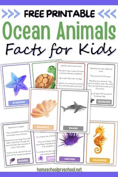 ocean animals fact cards for kids to help them learn how to read and understand what they are