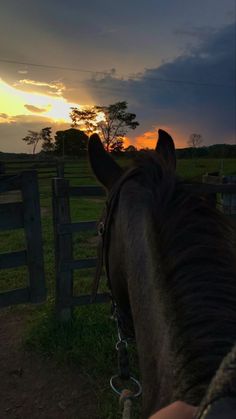 the horse is looking over the fence at the sunset