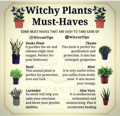 a poster with some plants in it that says witch plants must haves