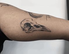 a person with a bird skull tattoo on their arm