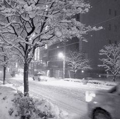 a snowy street at night with cars driving on it