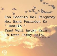 birds flying in the sky at sunset with an old quote written below it that reads, kon poocha hai pinaray me band parindon ko