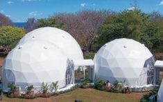 two large white domes sitting on top of a lush green field