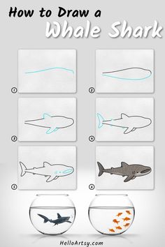 Step by step drawing lesson teaching you how to draw a whale shark drawing Draw A Whale, Draw Animals For Kids, Whale Drawing, Whale Painting, Drawn Fish