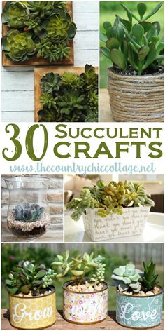 several different succulent crafts with the words 30 succulent crafts on them