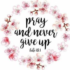 the words pray and never give up in a circle with pink flowers on white background