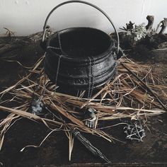 Traditional Witchcraft, Eclectic Witch, Hedge Witch, Something Wicked, Magic Aesthetic, Witch Magic, Albus Dumbledore, Season Of The Witch, Witch Aesthetic