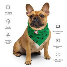 a brown dog wearing a green bandana and sitting on top of a white floor