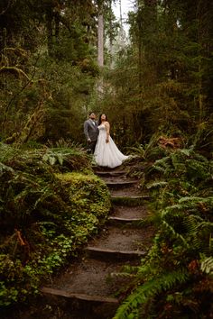 A bride and groom stand at the top of a trail staircase in the Hoh Rainforest during their Washington elopement Rain Forest Wedding, Pnw Wedding, Mossy Tree