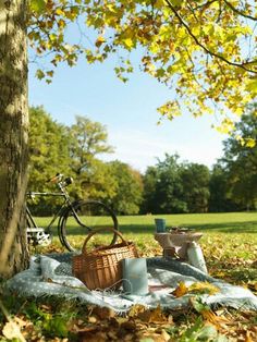 a picnic blanket is set up next to a tree in the grass with a bicycle parked on it