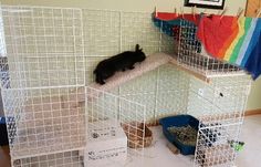 a cat is sleeping in the corner of a cage