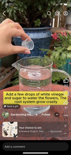 someone is pouring water into a pitcher on a table in front of some potted plants