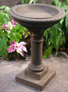 a bird bath sitting on top of a stone slab in front of some plants and flowers