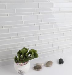 there is a small potted plant next to some rocks on the counter top, and a white tile backsplash behind it