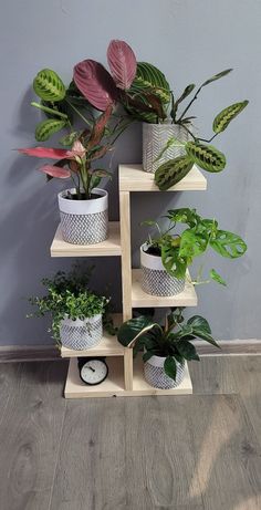 Indoor Ladder, Ladder Planter, Plant Pot Holder, Plant Pot Holders, Wooden Plant Stands, Plant Display