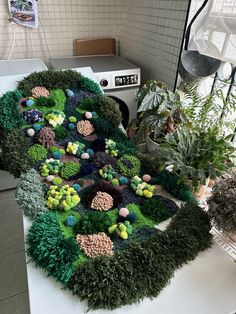 a bunch of plants that are on top of a table in a room with white tile walls