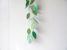 some green leaves hanging from a white wall