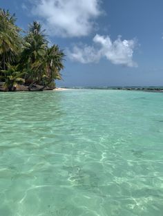 the water is crystal clear and blue with palm trees in the background on an island