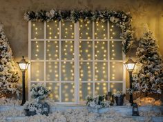 Katebackdrop£ºKate Bright Christmas Decoration Flowers Backdrop Lights For Photography, Schnee Party, Snow Lights, Bright Christmas Decorations, Window Backdrop, Door Backdrop, Christmas Studio, Christmas Lights Background, Door Backdrops