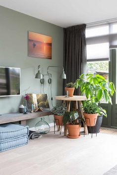 a living room filled with lots of plants next to a table and chair in front of a window