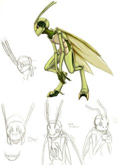 some drawings of bugs in various poses