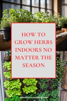 a sign that says how to grow herbs indoors, no matter the season on it