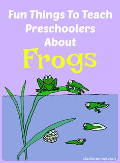 frogs in the water with text that reads fun things to teach preschoolers about frogs