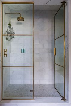 a shower with glass doors and gold fixtures in a white tiled bathtub, next to a plant