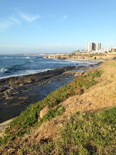 the beach is next to some water and buildings in the background, with grass growing on the shore