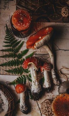 mushrooms, ferns and other edible items on a table