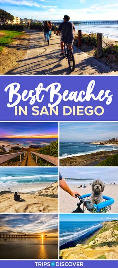 the best beaches in san diego