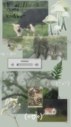 a collage of pictures with animals and plants