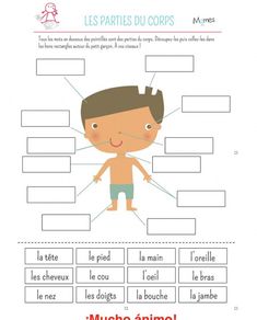 the parts of a body worksheet for kids with pictures and words on it