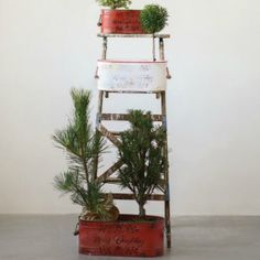 an old ladder is used as a planter with plants on top and below it