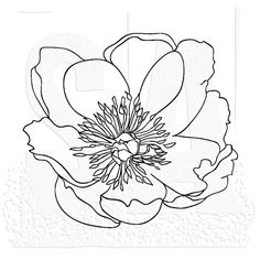 a black and white drawing of a flower with leaves on it's petals is shown