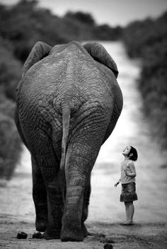 a woman standing in front of an elephant on a dirt road with trees behind her