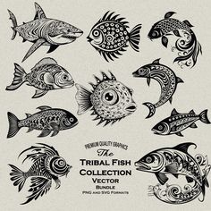 Lake Fish, Fish Designs, Sick Tattoo, Laser Files, Ocean Fish, Lion Fish, Puffer Fish, Fishing Svg