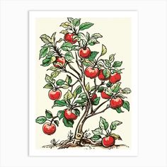 an apple tree with red apples growing from it's branches and leaves, in front of a white background